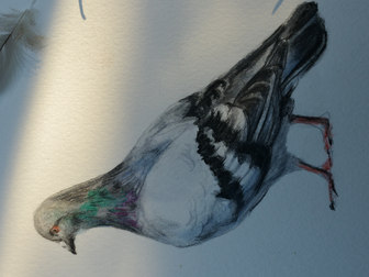 Original illustration by Lauren Stewart