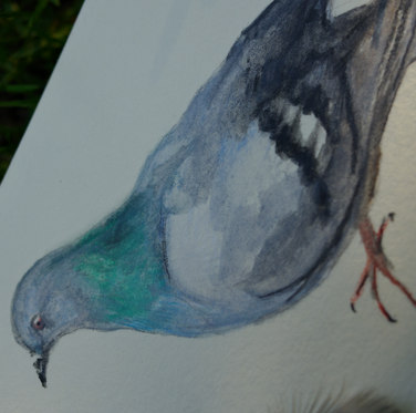 Original illustration by Lauren Stewart