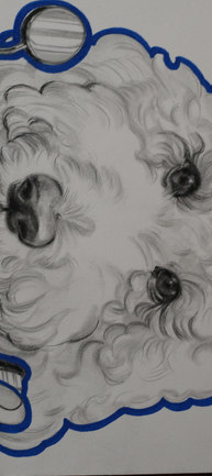 Original illustration by Lauren Stewart